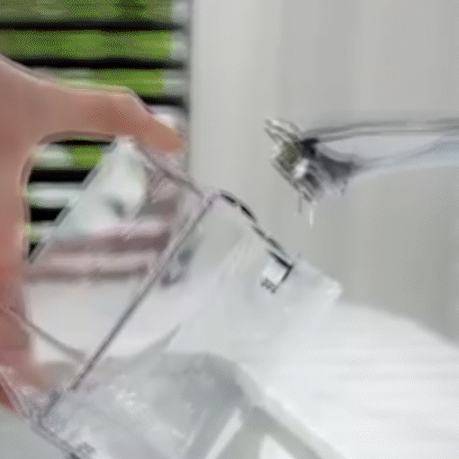 Premium Water Dental Flosser