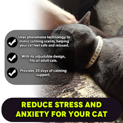 Cat Calming Collar