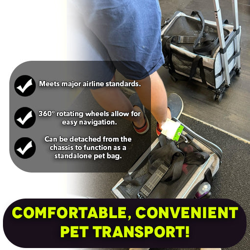 Airline Approved Cat Carrier with Wheels