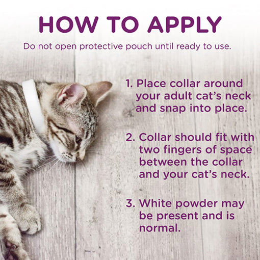 Cat Calming Collar