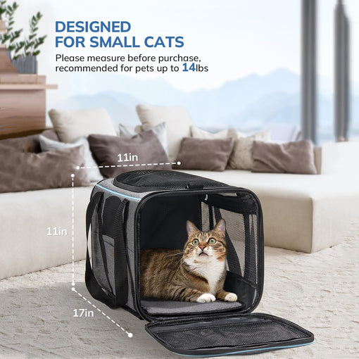 Airline Approved Cat Carrier with Wheels