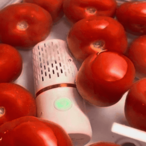 Cordless Ultrasonic Produce & Fruit Purifier